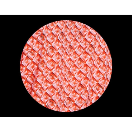 Jaqueta Geometric Coral (ref 3762) Jaqueta Geometric Coral (ref 3762)